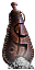 Fleshwarp Powder
