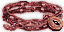 Chains of the Hungering Void