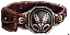 Solar Belt