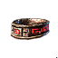 Gilded Diadem