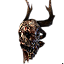 Packla's Visage