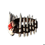 Crown of Command