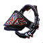 Clairvoyant's Mantle