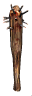 Crude Mace